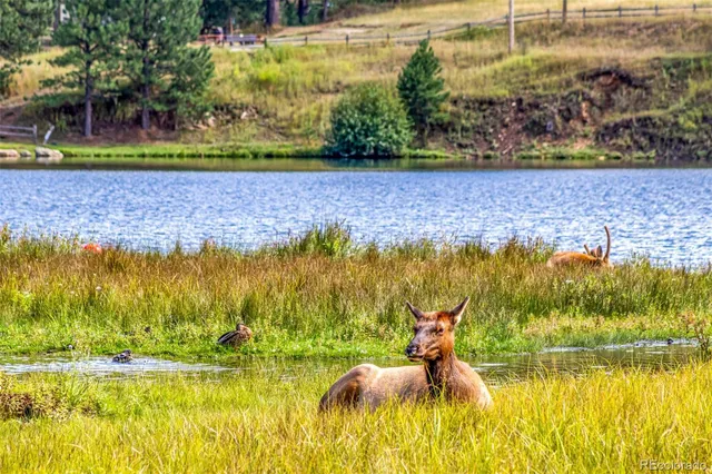 $915,000 | 28735 Little Big Horn Drive, Evergreen, CO 80439