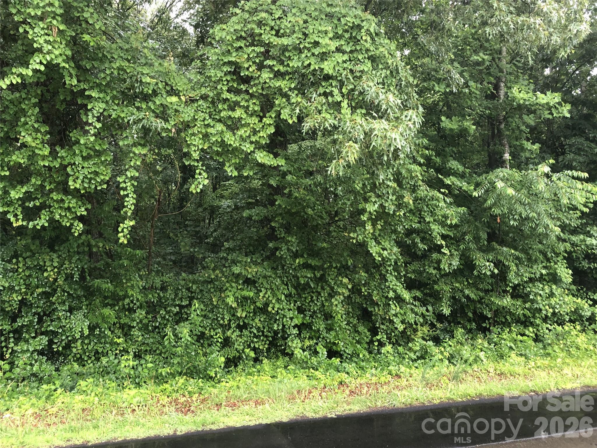 0 Barnhardt Road China Grove, NC 28023 - Photo 2 of 7