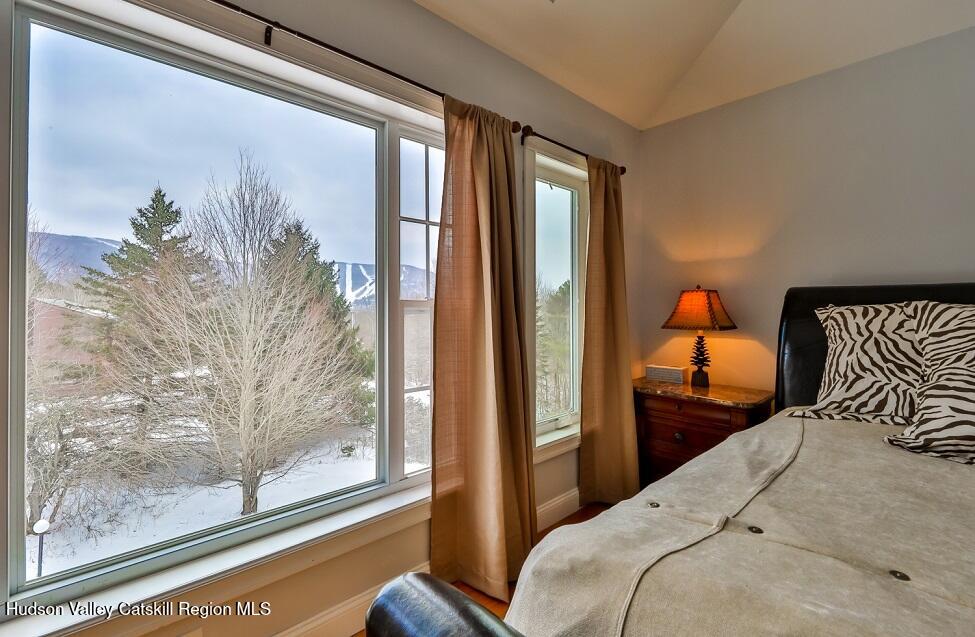 24 Windhamview Road Windham, NY 12496 - Photo 27 of 39 2V2A9293-Edt