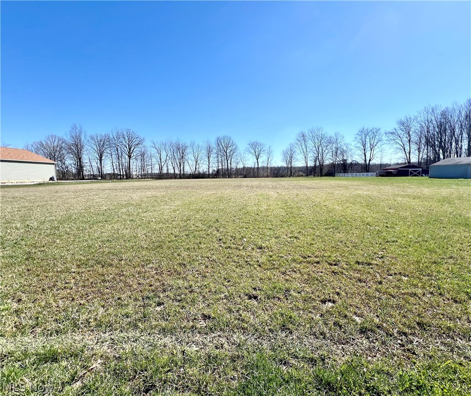 V/l Diagonal Road Lagrange, OH 44050 - Photo 4 of 7