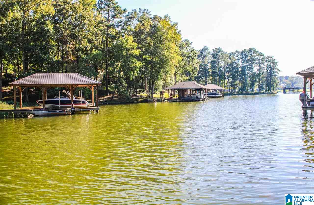 564 Lakeview Circle Alpine, AL 35014 - Photo 48 of 50