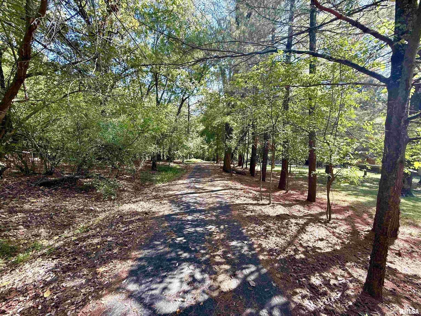 592 Brush Hill Road Carbondale, IL 62901 - Photo 2 of 22