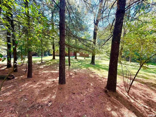 $250,000 | 592 Brush Hill Road, Carbondale, IL 62901