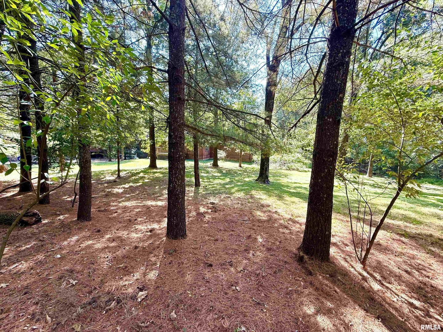 592 Brush Hill Road Carbondale, IL 62901 - Photo 3 of 22