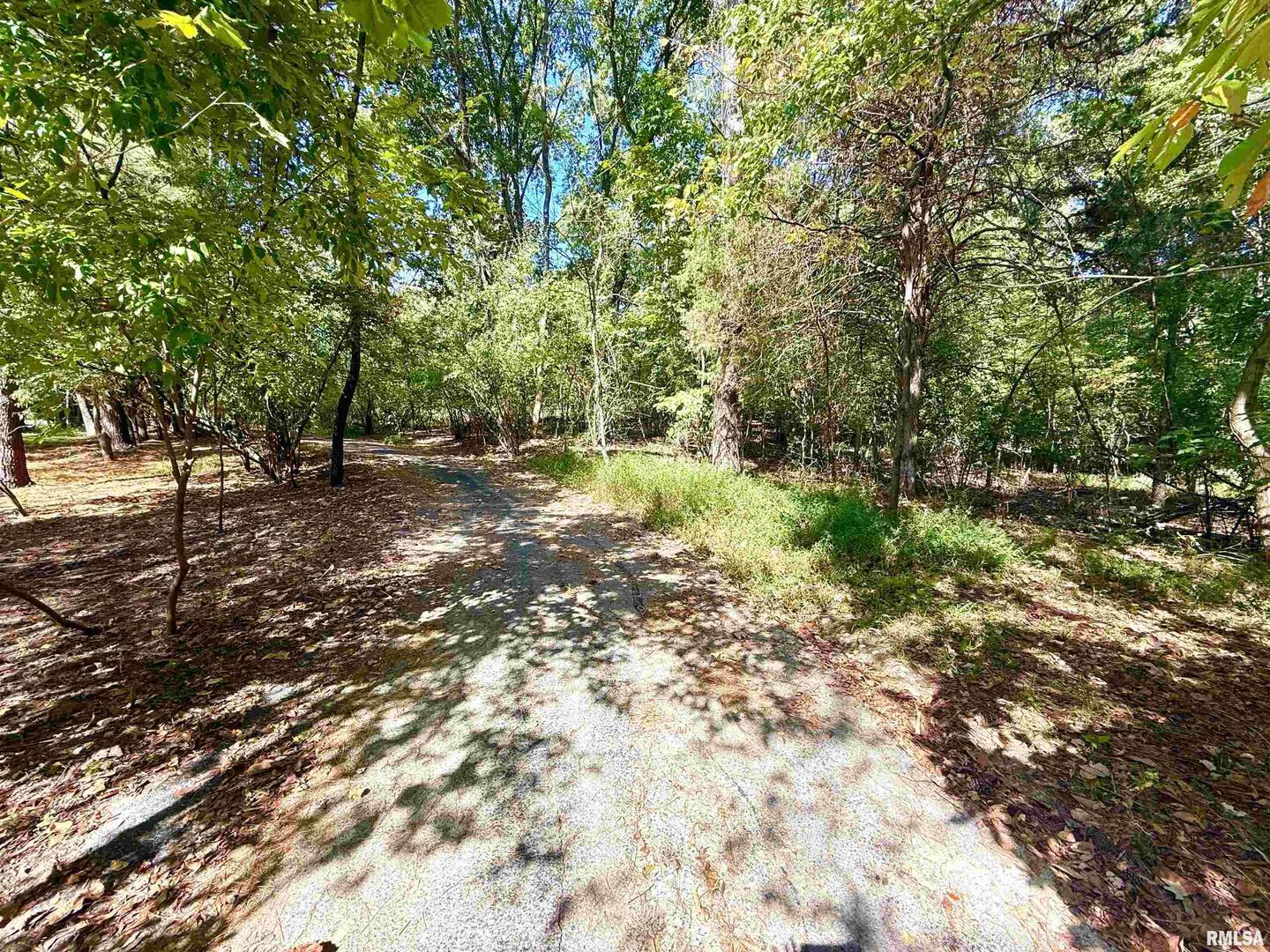 592 Brush Hill Road Carbondale, IL 62901 - Photo 4 of 22