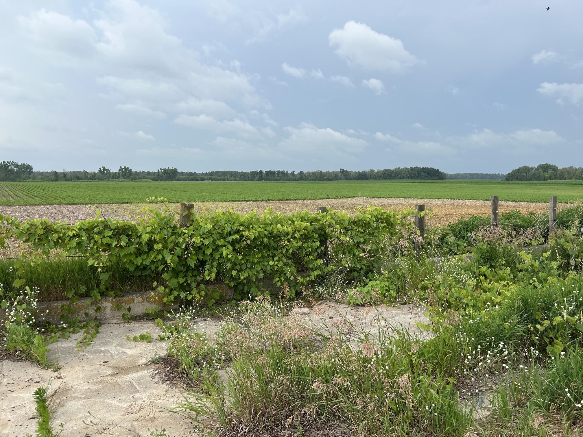 W2337 County Road East Cecil, WI 54111 - Photo 15 of 21