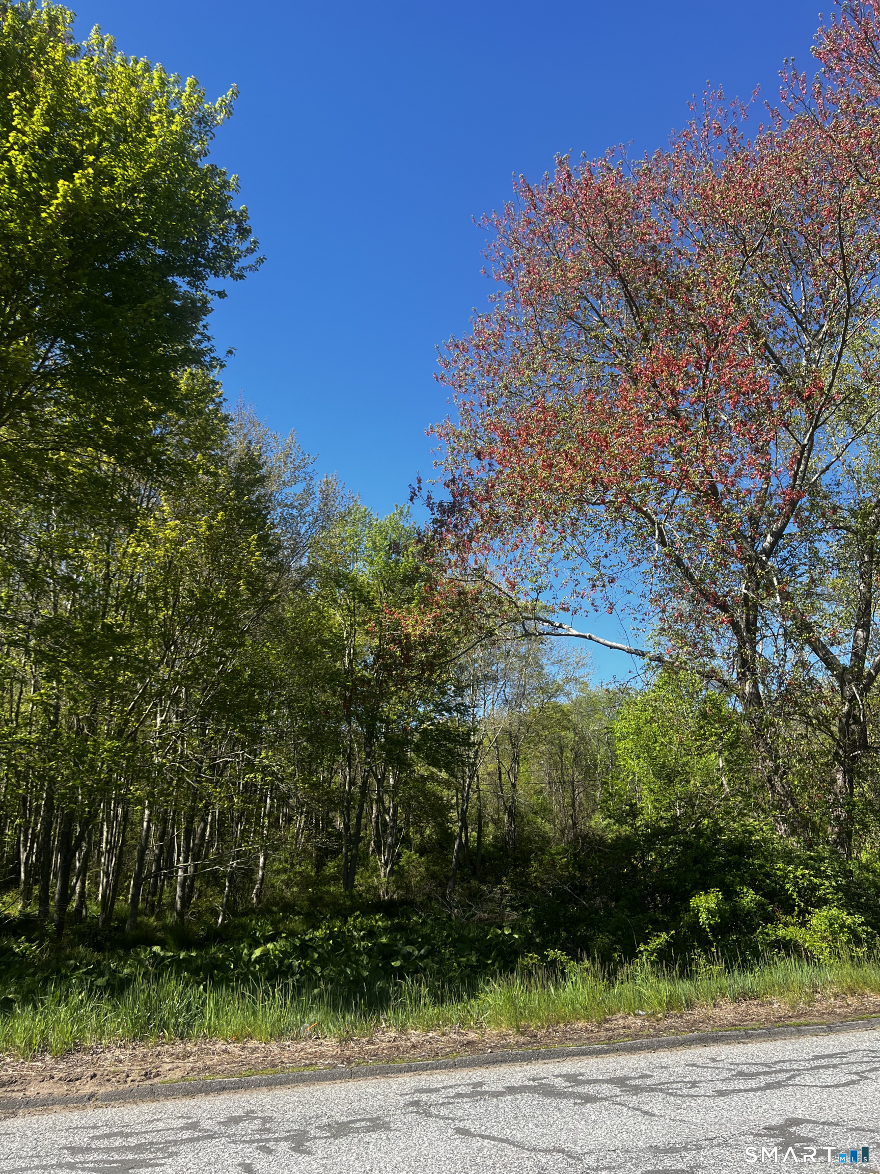408 Martin Road Hebron, CT 06248 - Photo 1 of 6 a view of a yard