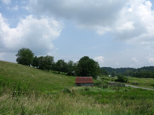 101 Grassy Meadows Road Alderson, WV 24910 - Photo 12 of 40 View looking east towards barn & corral