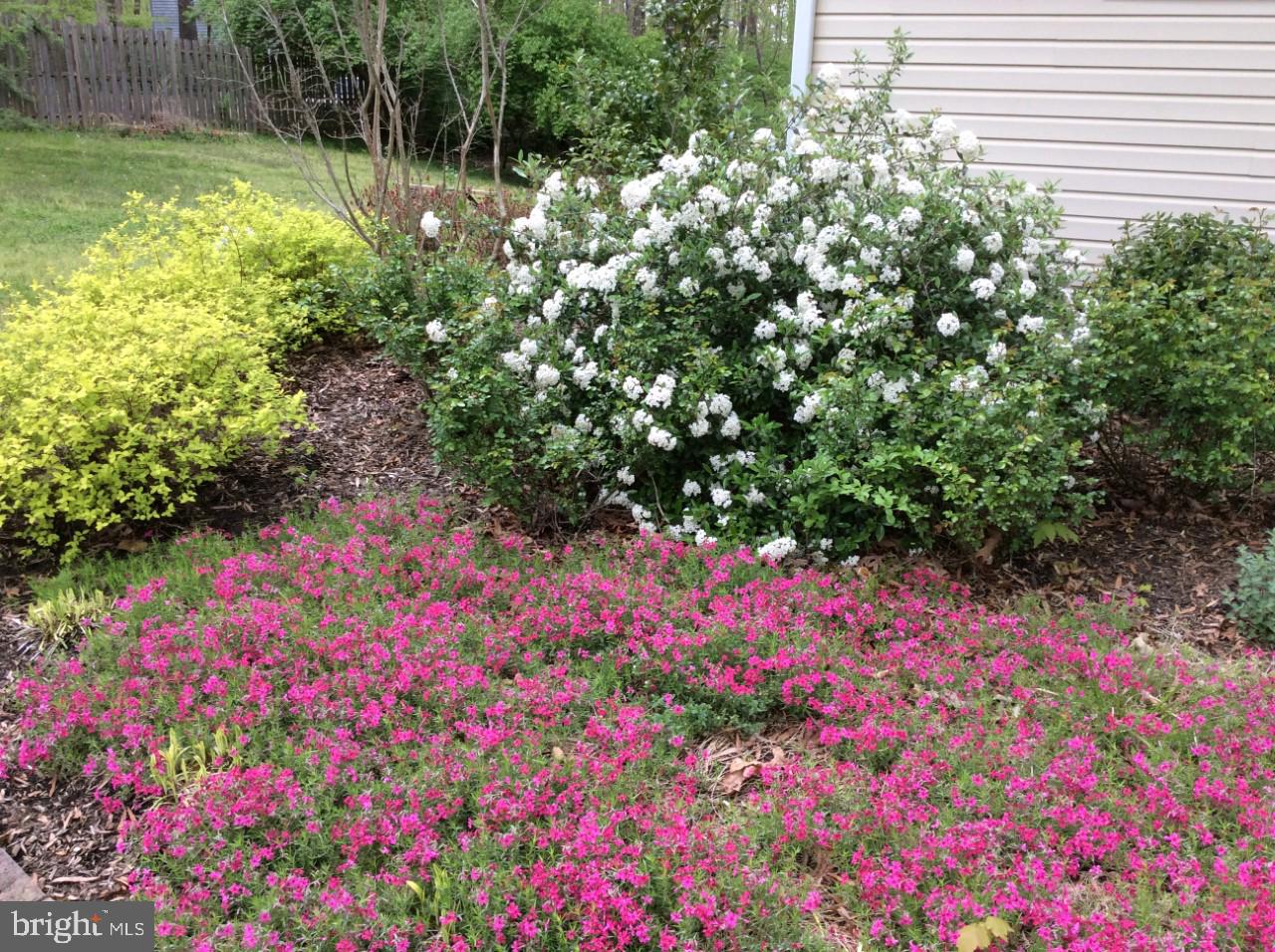 485 Stoakley Road Prince Frederick, MD 20678 - Photo 23 of 30