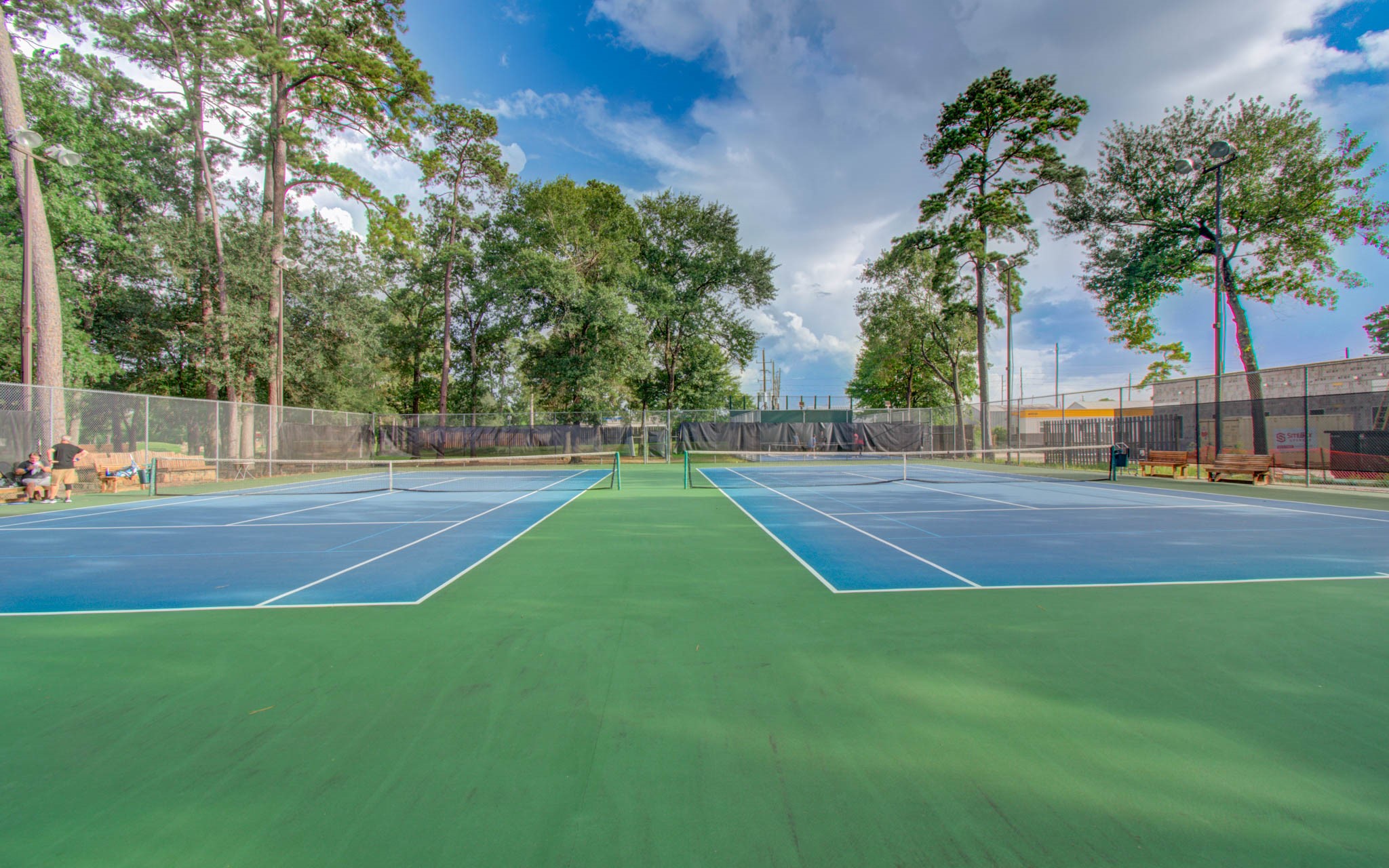 22927 Northoak Forest Lane Spring, TX 77389 - Photo 36 of 37 a view of green field with trees