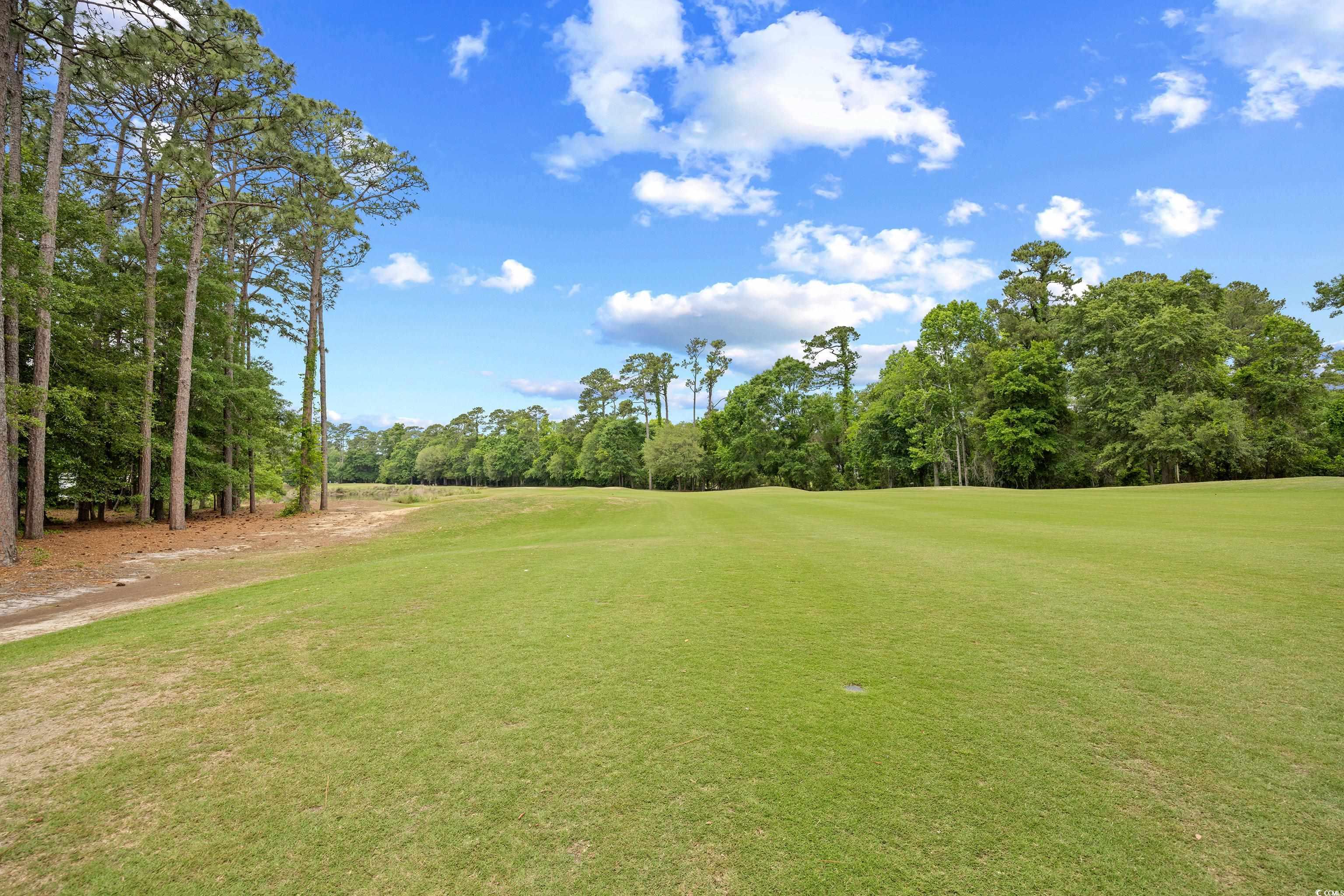 4554 Fringetree Drive Murrells Inlet, SC 29576 - Photo 36 of 40