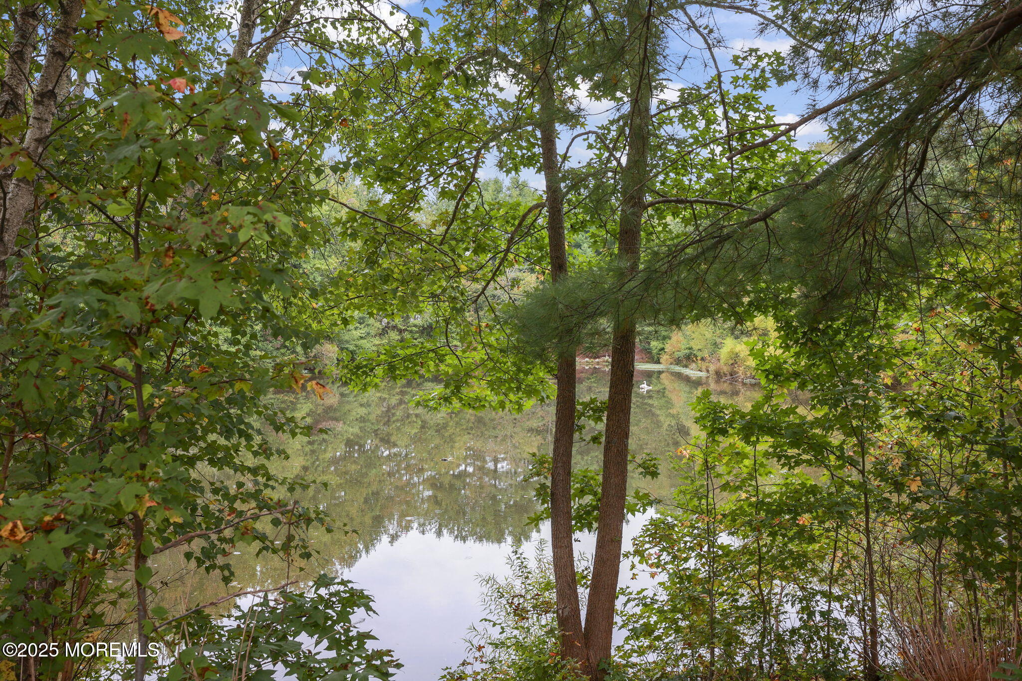 12 Alydar Court Howell, NJ 07731 - Photo 19 of 24 a view of a yard