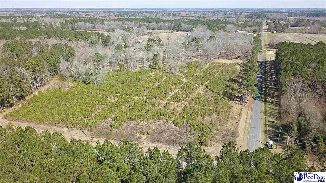 Tbd Huggins Road Lake City, SC 29560 - Photo 3 of 12 Gallery Image 3