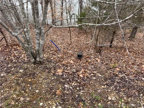 $59,900 | Lot #14 Eagle Bay Drive, Gravois Mills, MO 65037