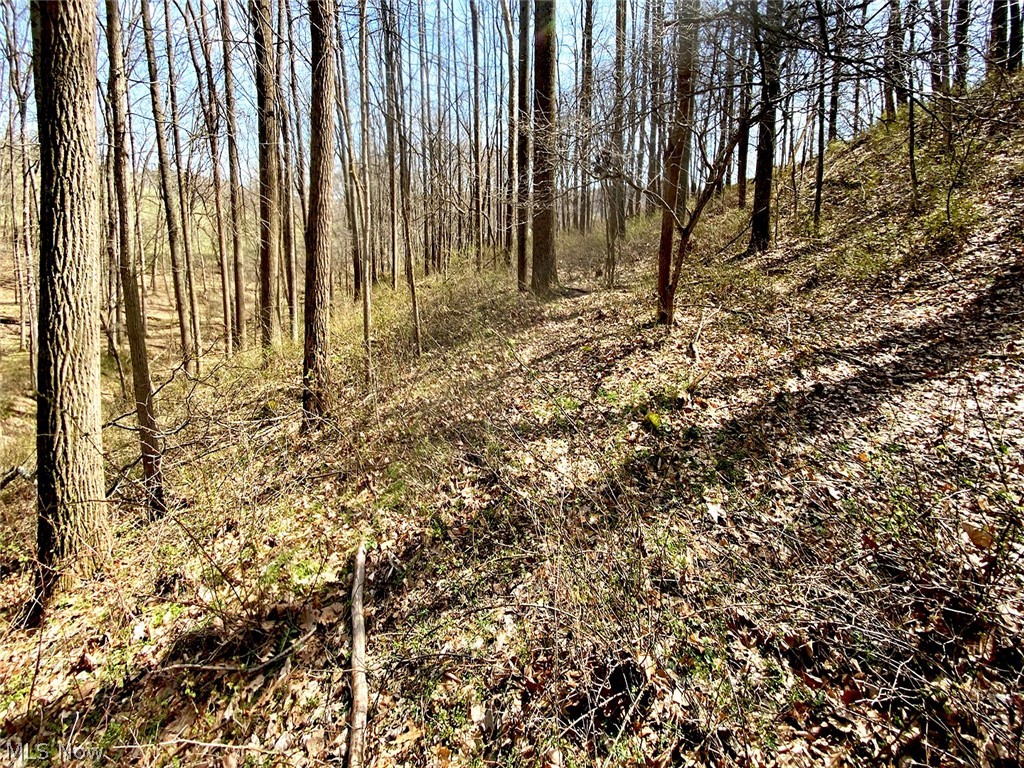 0 Township Road Coshocton, OH 43812 - Photo 15 of 24