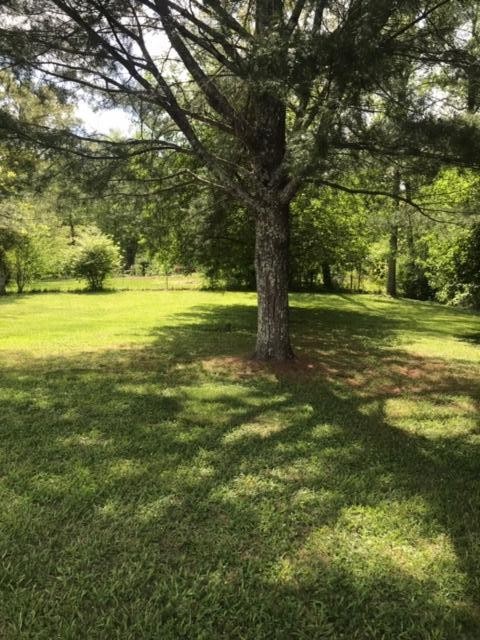 438 West Creston Road Crossville, TN 38571 - Photo 6 of 26 Gallery Image 6
