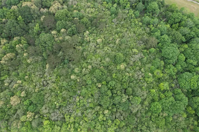 $70,000 | 0 East Jasmine Street, Fresno, TX 77545