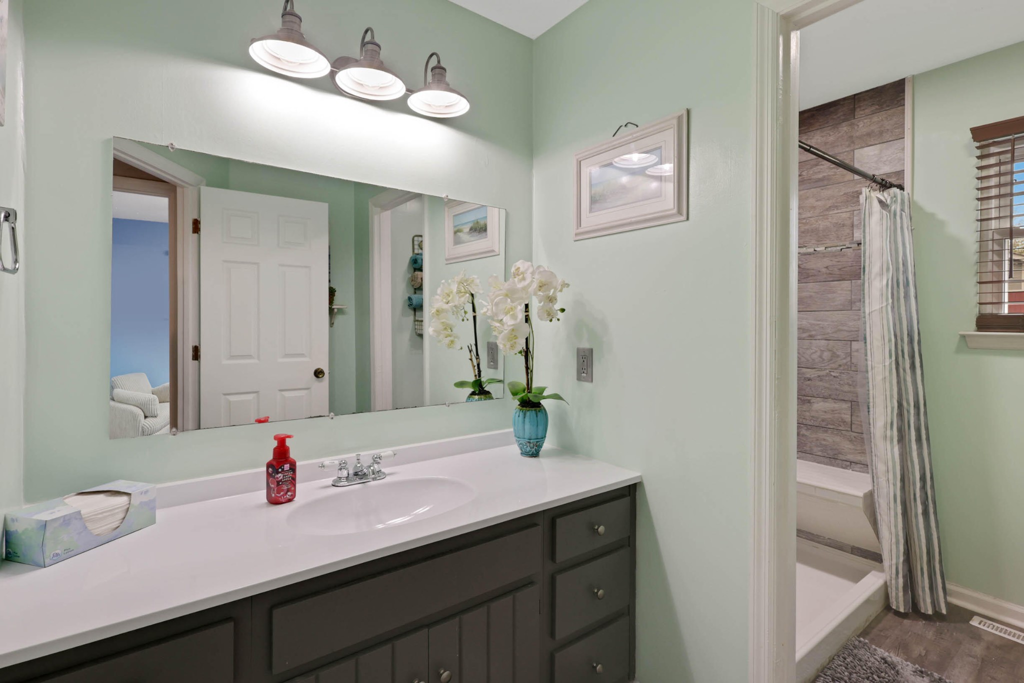 706 Swansons Ridge Road Chattanooga, TN 37421 - Photo 17 of 29 a bathroom with a sink a vanity and a mirror