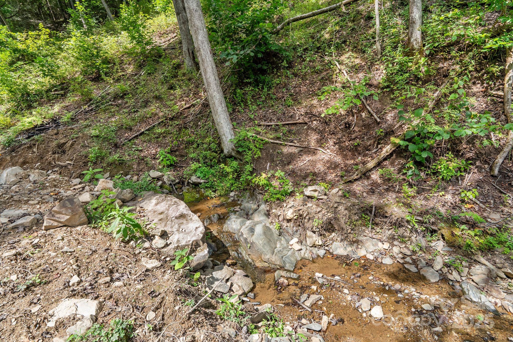 ### Bluff Mountain Road Hot Springs, NC 28743 - Photo 12 of 38 Gallery Image 12
