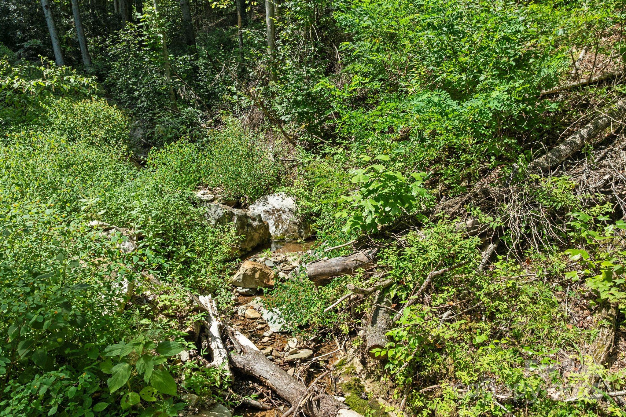 ### Bluff Mountain Road Hot Springs, NC 28743 - Photo 23 of 38 Gallery Image 23