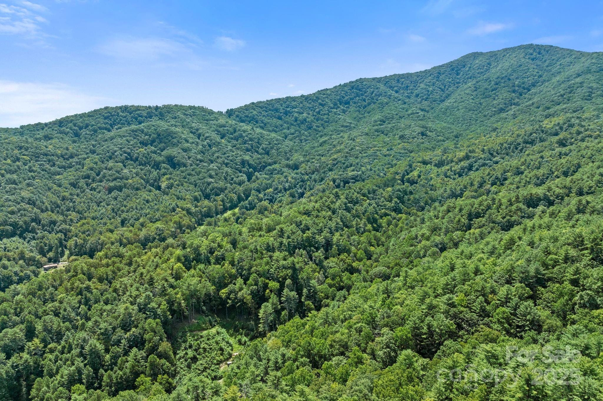 ### Bluff Mountain Road Hot Springs, NC 28743 - Photo 29 of 38 Gallery Image 29