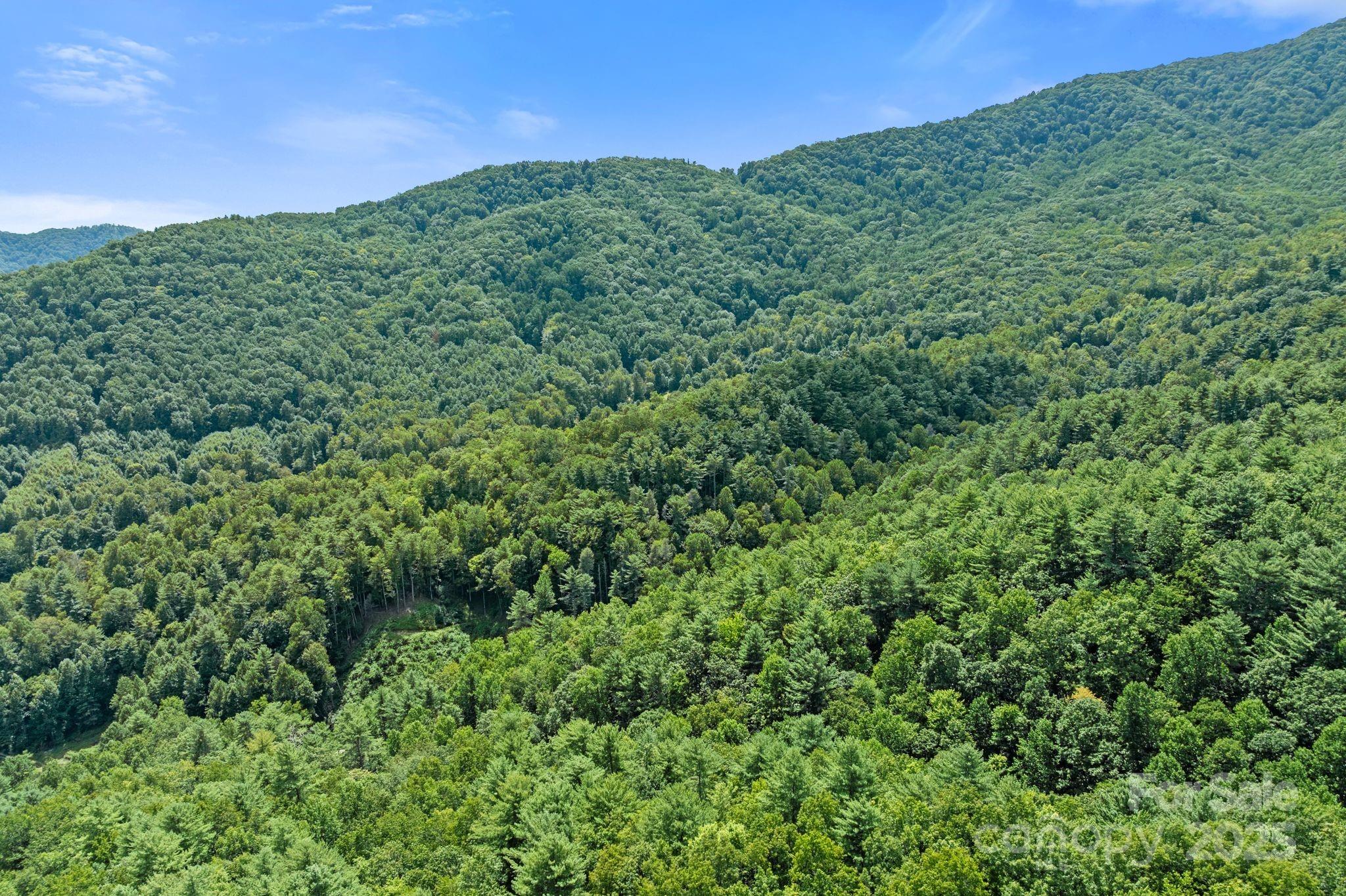 ### Bluff Mountain Road Hot Springs, NC 28743 - Photo 30 of 38 Gallery Image 30