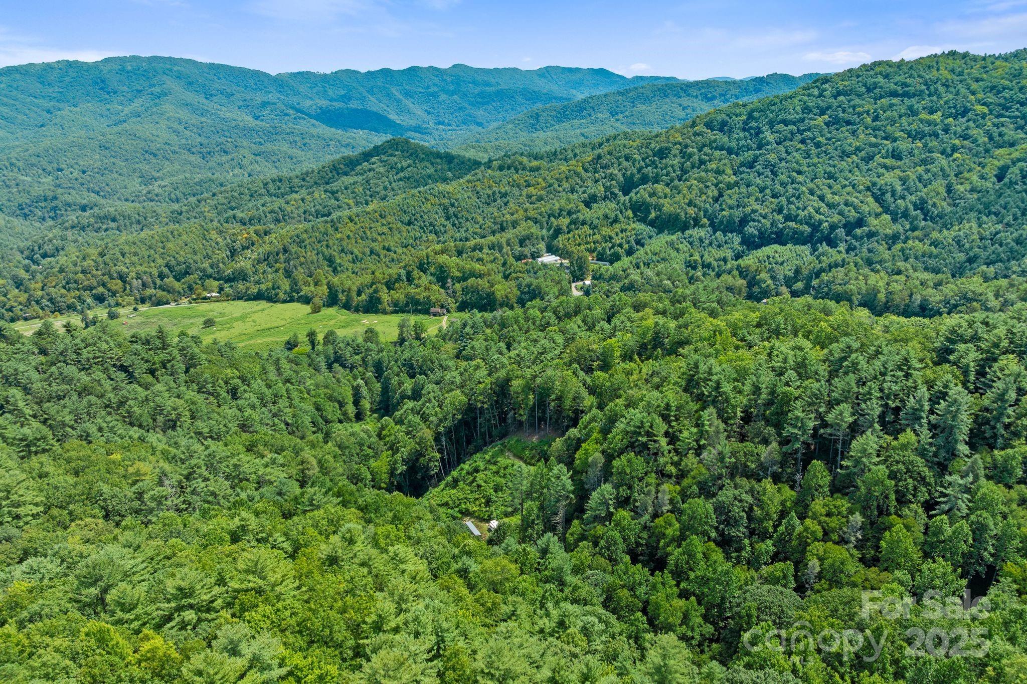### Bluff Mountain Road Hot Springs, NC 28743 - Photo 31 of 38 Gallery Image 31