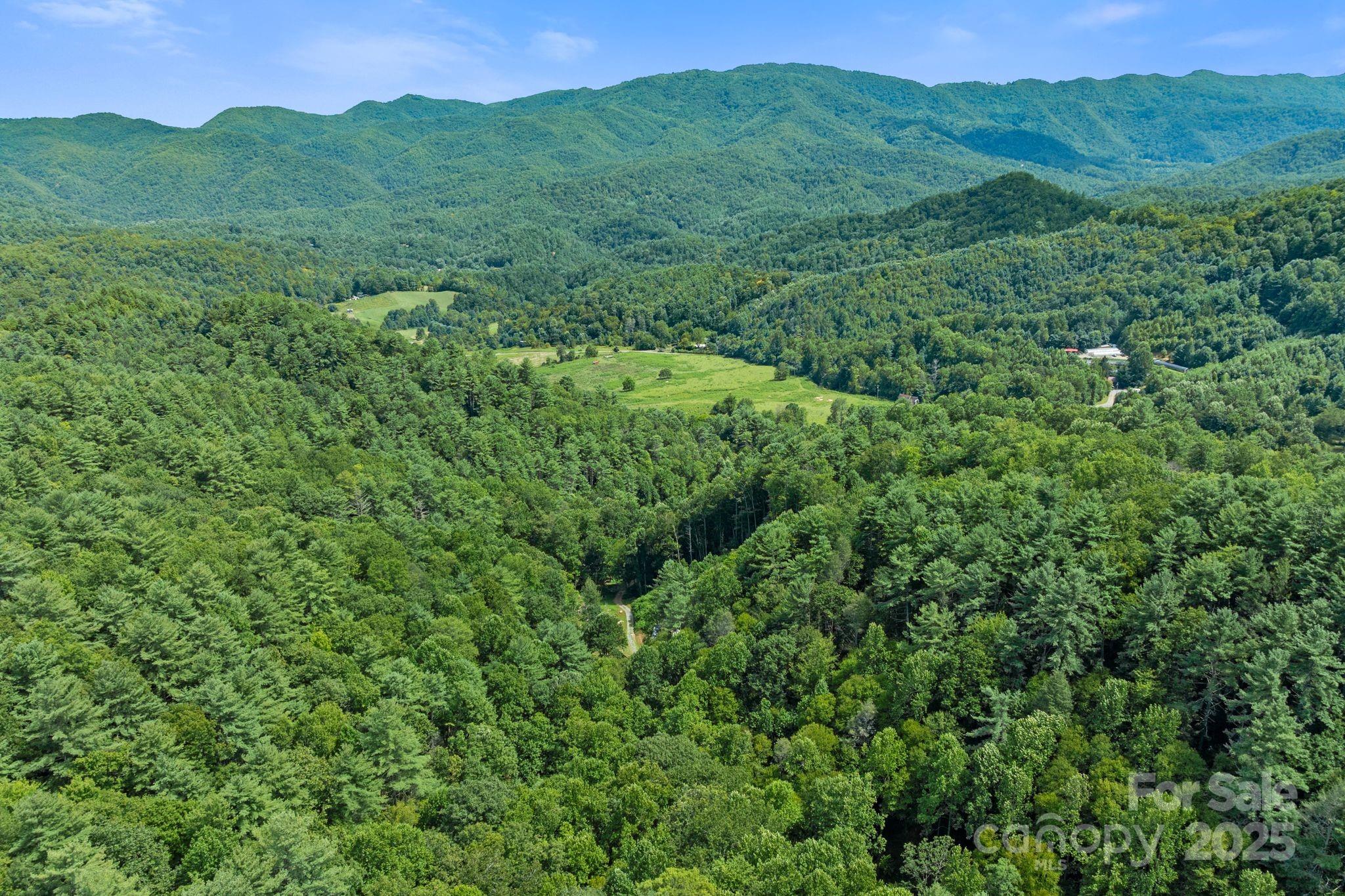 ### Bluff Mountain Road Hot Springs, NC 28743 - Photo 32 of 38 Gallery Image 32