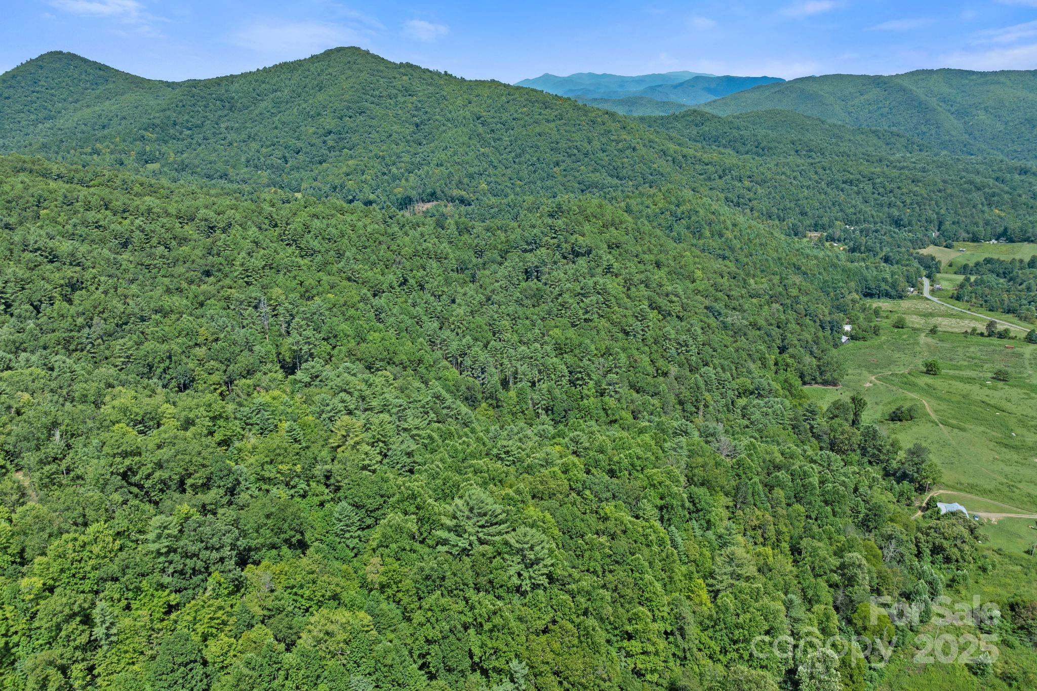 ### Bluff Mountain Road Hot Springs, NC 28743 - Photo 34 of 38 Gallery Image 34