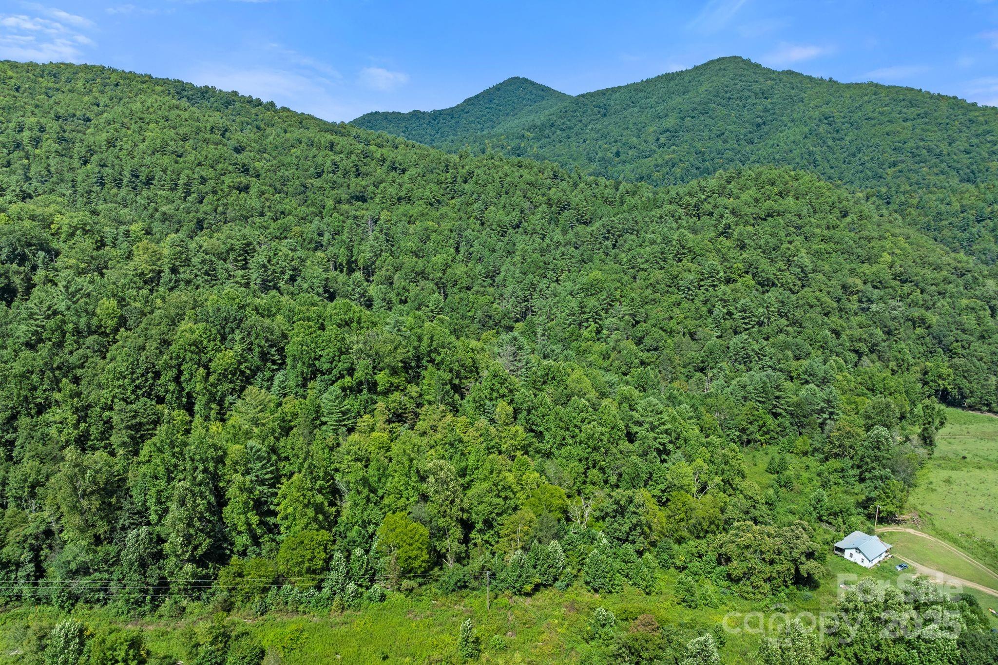 ### Bluff Mountain Road Hot Springs, NC 28743 - Photo 35 of 38 Gallery Image 35