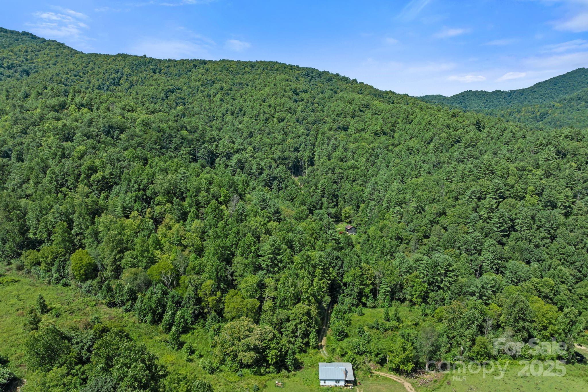 ### Bluff Mountain Road Hot Springs, NC 28743 - Photo 36 of 38 Gallery Image 36