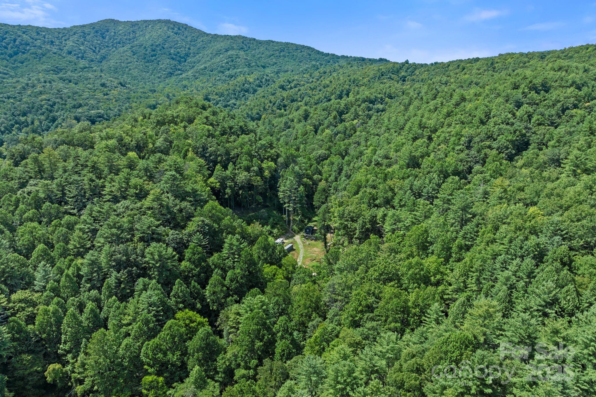 ### Bluff Mountain Road Hot Springs, NC 28743 - Photo 38 of 38 Gallery Image 38