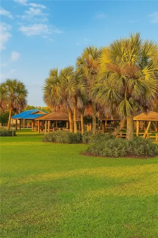 a view of a big yard with palm trees