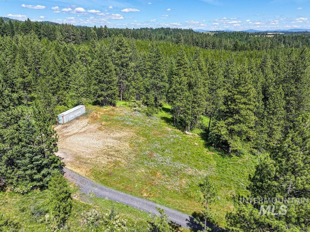 1040 Felton Creek Road Troy, ID 83871 - Photo 3 of 17
