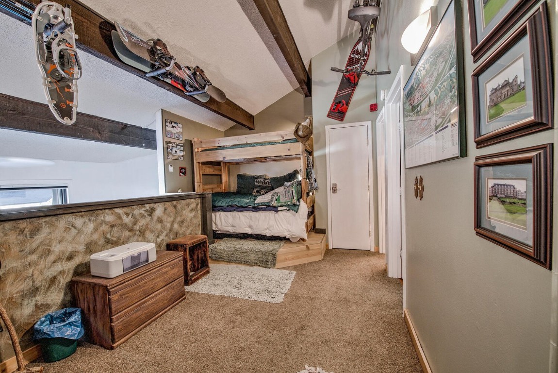 78 Guller Road, Unit 201 Copper Mountain, CO 80443 - Photo 20 of 41 a view of an entryway