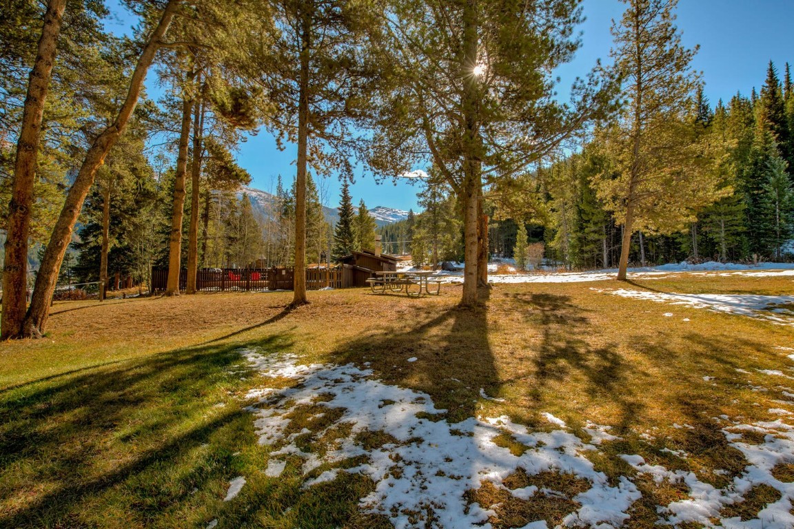 78 Guller Road, Unit 201 Copper Mountain, CO 80443 - Photo 33 of 41 a view of road with trees