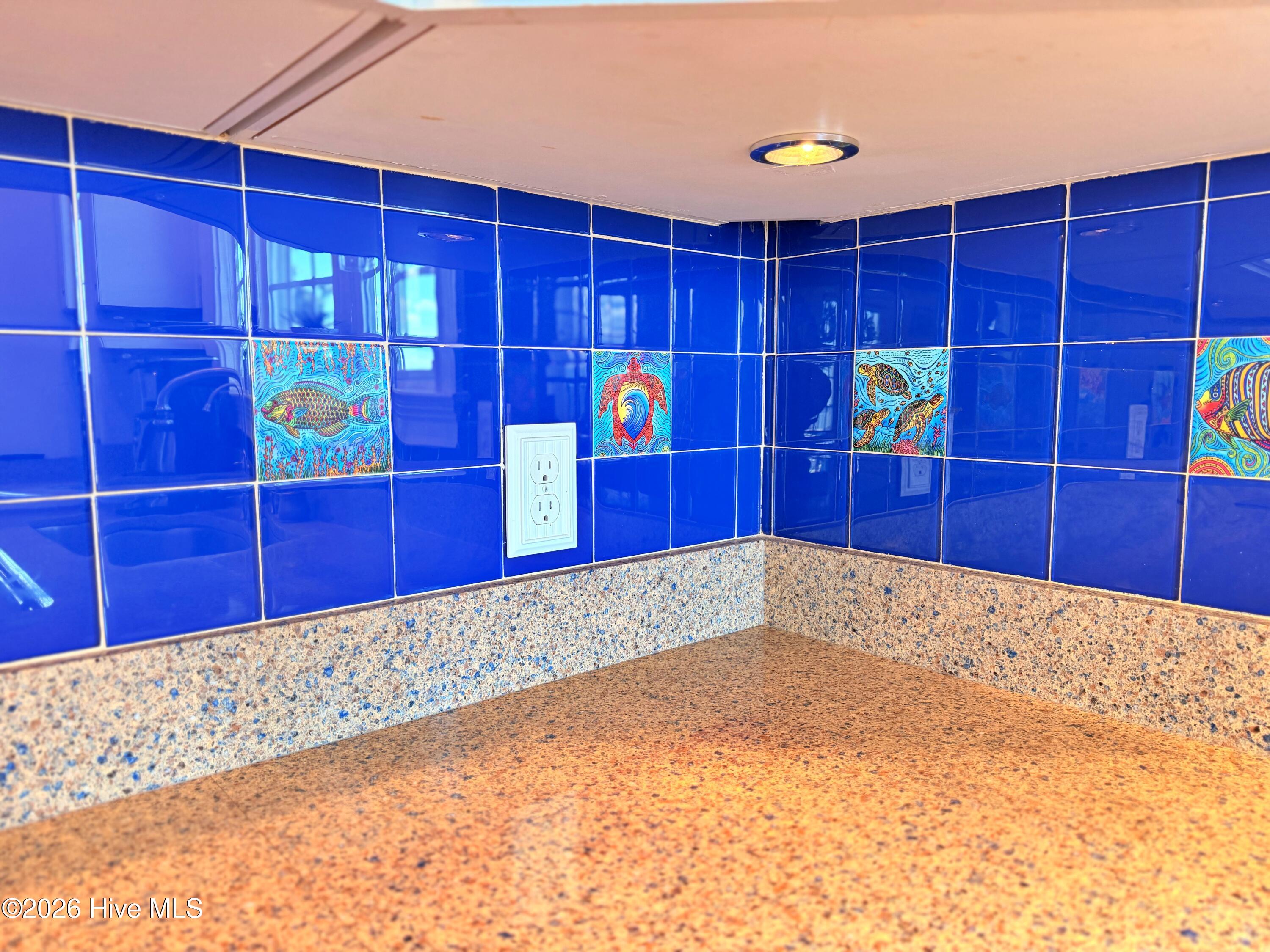 481 River Road Arapahoe, NC 28510 - Photo 8 of 70 gorgeous tile