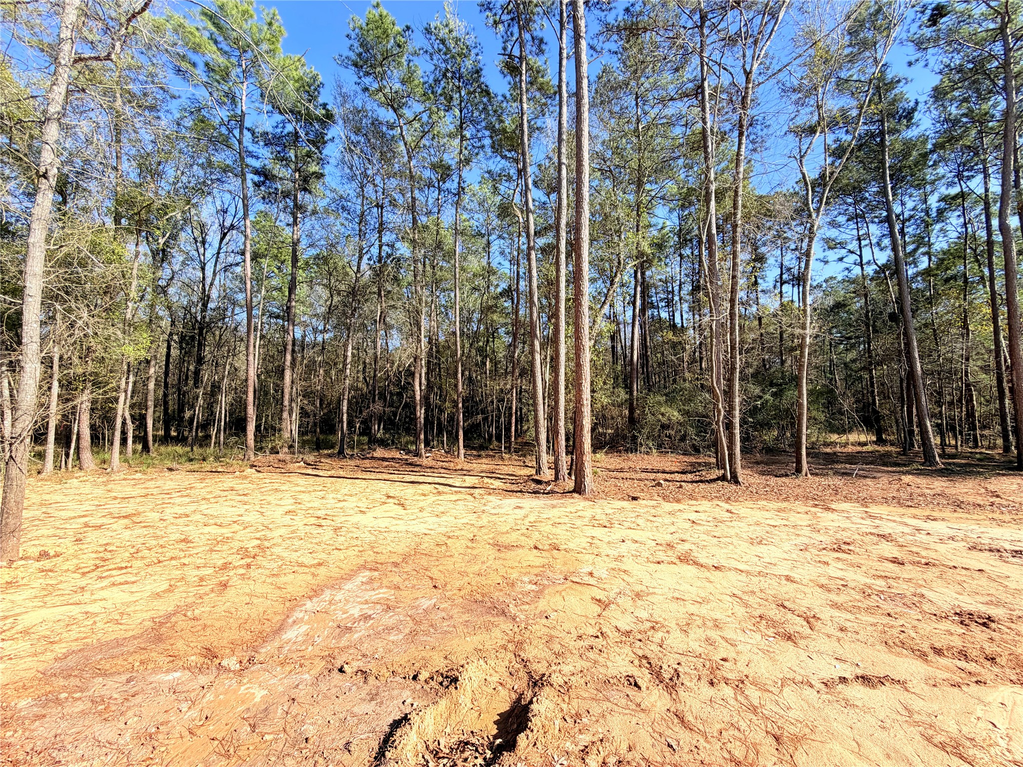 19991 Northfork Drive Porter, TX 77365 - Photo 43 of 45