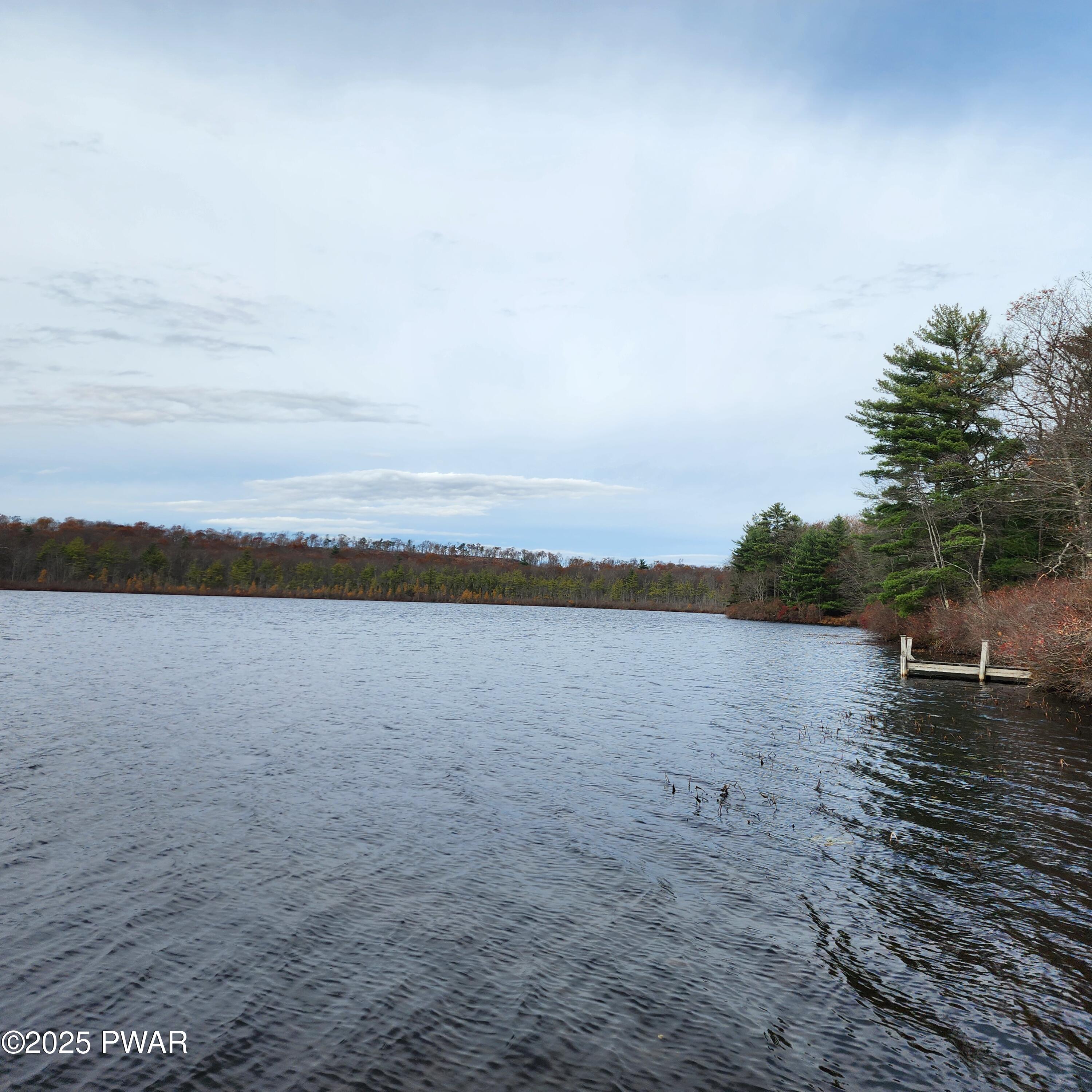 298 White Deer Lake Road Hawley, PA 18428 - Photo 4 of 11