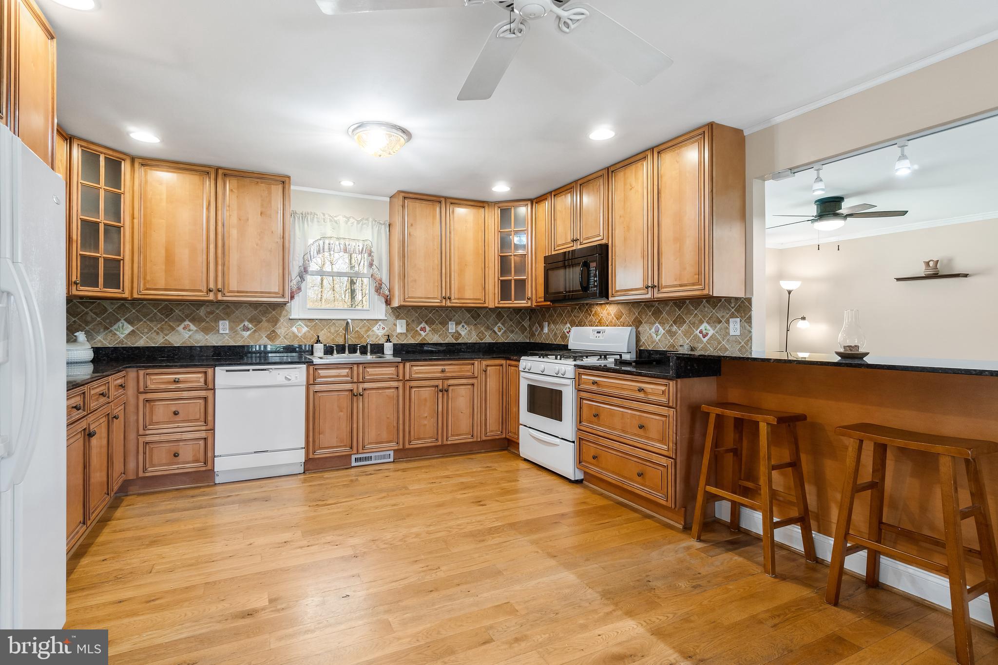 159 Cree Terrace Rising Sun, MD 21911 - Photo 2 of 20 Gourmet Kitchen