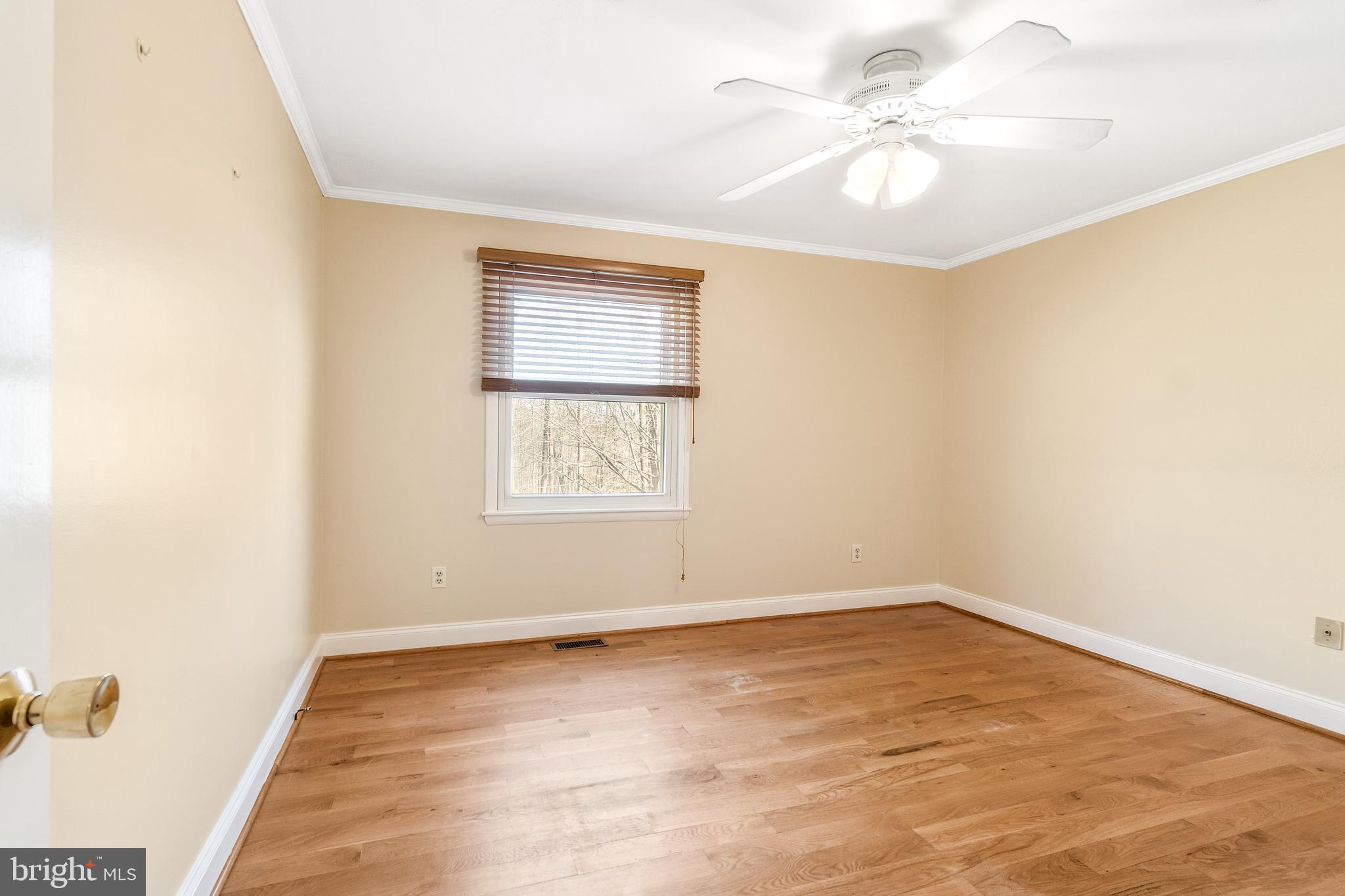 159 Cree Terrace Rising Sun, MD 21911 - Photo 11 of 20 Rear Bedroom