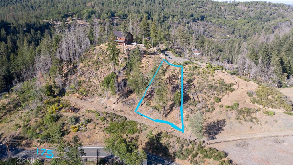 a view of a yard with trees