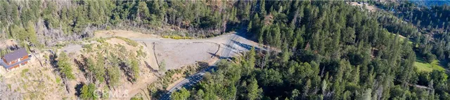 a view of backyard with plants