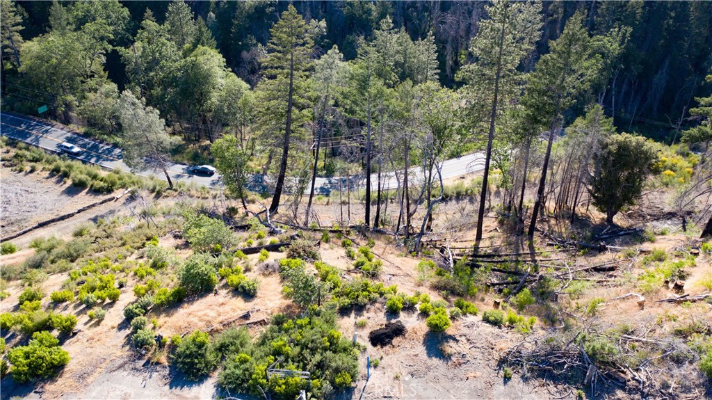 13627 View Road Cobb, CA 95426 - Photo 15 of 27 a view of a garden with plants and large trees