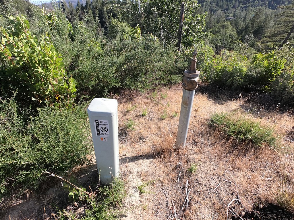 13627 View Road Cobb, CA 95426 - Photo 17 of 27 a view of a forest with large trees