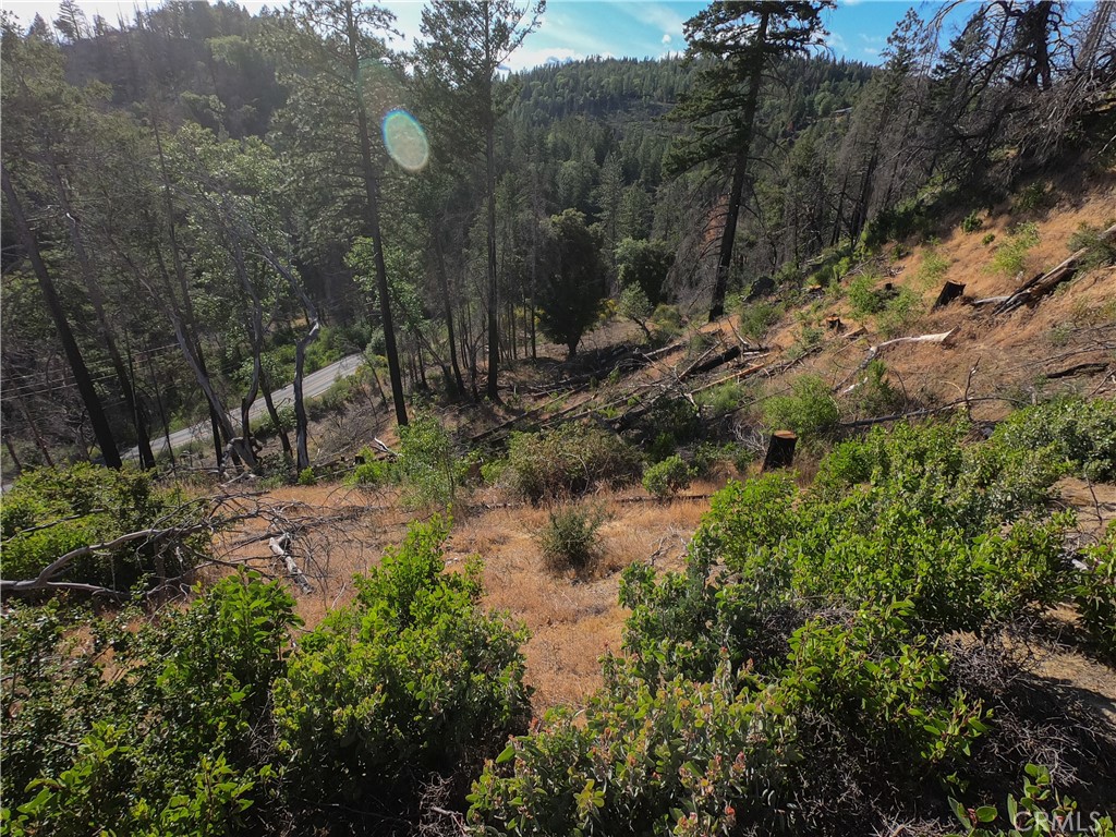 13627 View Road Cobb, CA 95426 - Photo 19 of 27 a view of a forest with a tree