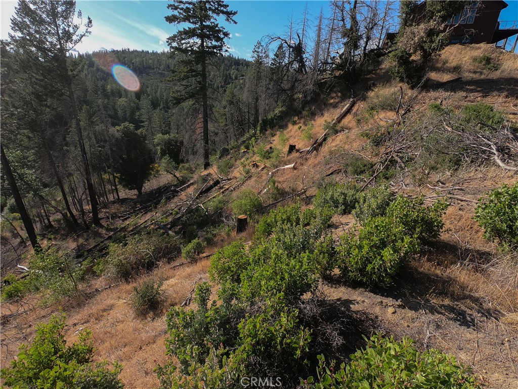13627 View Road Cobb, CA 95426 - Photo 20 of 27 a view of a yard with a pathway