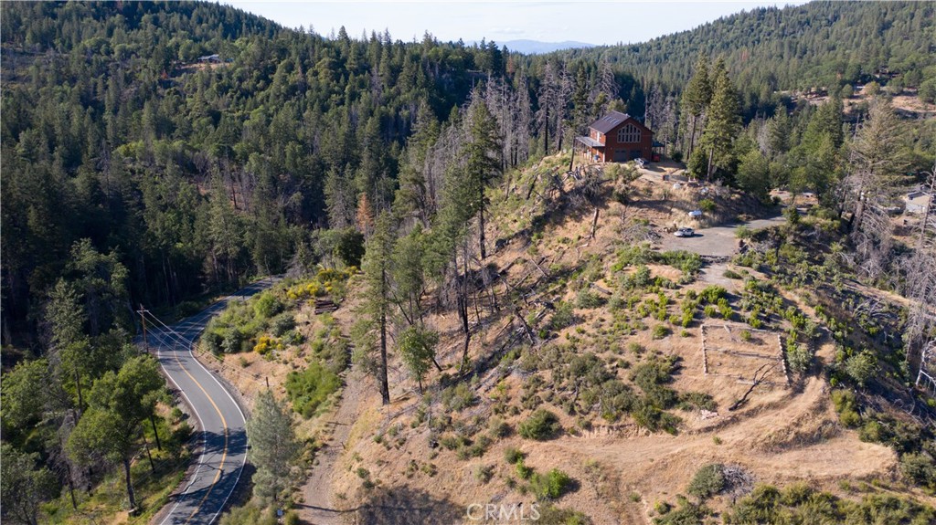 13627 View Road Cobb, CA 95426 - Photo 2 of 27 a view of a forest with a forest