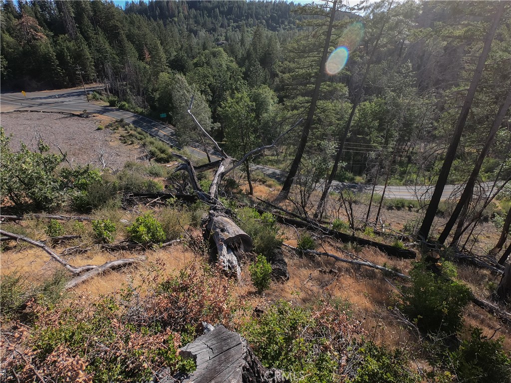 13627 View Road Cobb, CA 95426 - Photo 21 of 27 a view of a yard with plants and large trees