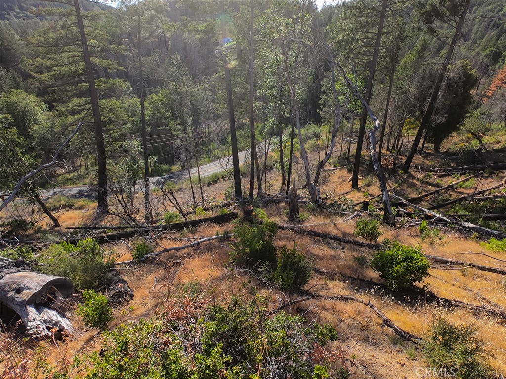 13627 View Road Cobb, CA 95426 - Photo 22 of 27 a view of a backyard